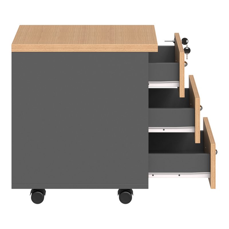 Professional wheeled drawer Fesialo natural-anthracite 39x47x52.5cm